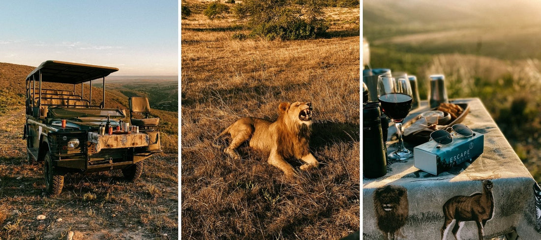 Get Lost at Garden Route Safari Camp, an intimate wilderness retreat in the Heart of Mossel Bay