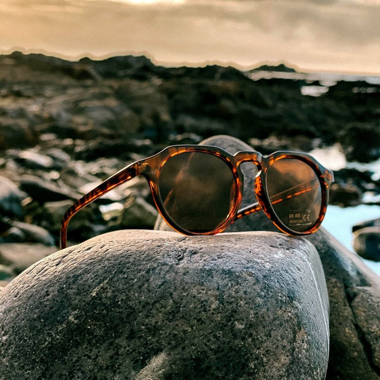 Tortoise Shell Polarised Keyhole Round Lens