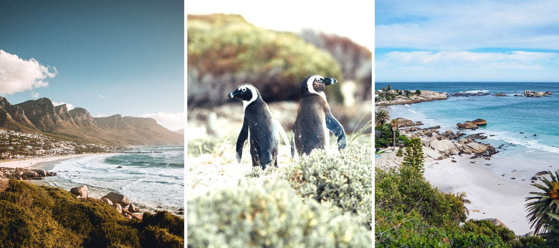 4 Best Beaches in Cape Town, South Africa