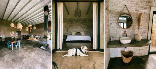 Escape Life For a Little While At Eco Karoo Lodge, a Rustic, Pet-Friendly Destination